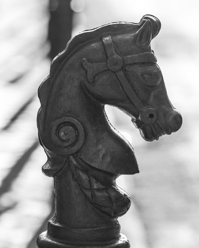 新奥尔良法国Quarter Horse邮政