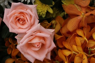 花节