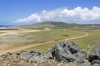 阿鲁巴岛