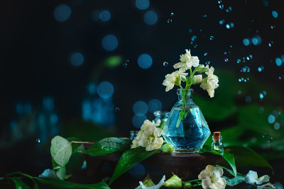玻璃花瓶中有白花和露珠