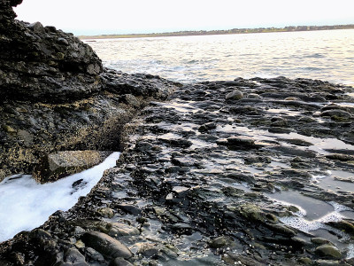 纽波特海岸