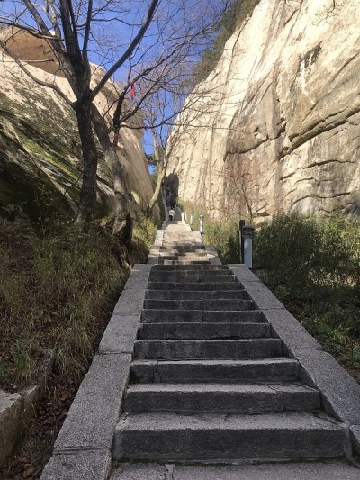 山景城
