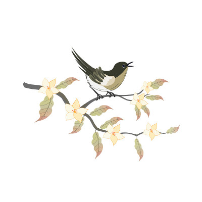 Nightingale bird with magnolia branch in oriental 