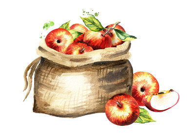 袋苹果. .水彩手绘插图，孤立的白色背景