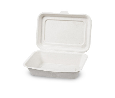 甘蔗渣盒食品隔离在白色背景