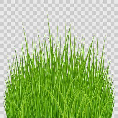 绿草