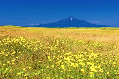 日本北海道奥罗伦线公路的夏日风景