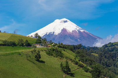 规定volcano