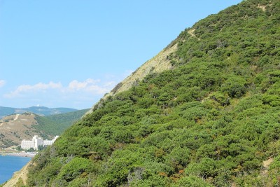 黑海海岸。秃山。