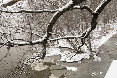 冬天的风景有冰雪