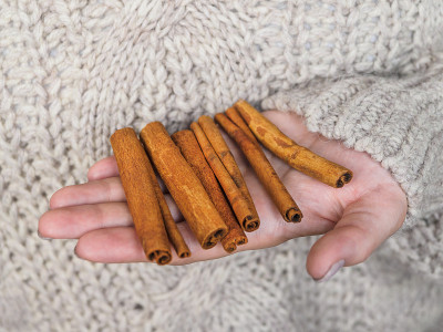 Cinnamon pods in the hands of a girl. A woman in a