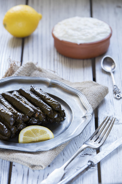 土耳其dolmades