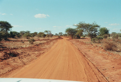 肯尼亚Tsavo,朴槿惠