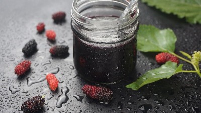 自制桑椹酱