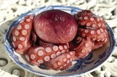 章鱼