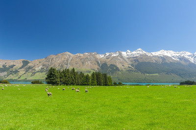 新西兰山区
