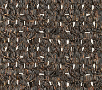 Raw Black Wild Rice on Wood Background