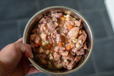 银碗里喂猫狗的湿食物