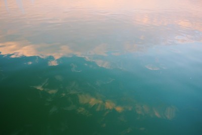 水