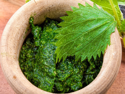 煮熟的生荨麻