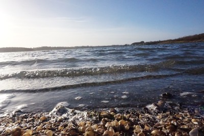 英国Pitsford水库的海岸线上
