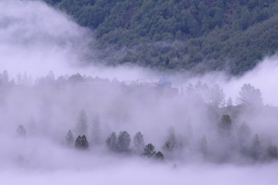 在充满树木的山谷中，建筑物被雾覆盖的特写