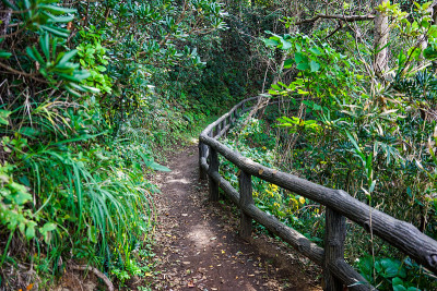 通往荒崎公园“日落山”的悬崖公路(神奈川县横须贺市荒崎海岸)