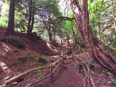 神奇的Puzzlewood