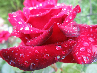 下雨了东方