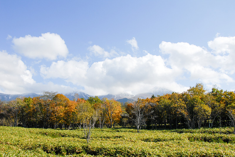 日本北海道秋知床山脉