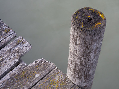 neusiedlersee湖上码头上的木桩