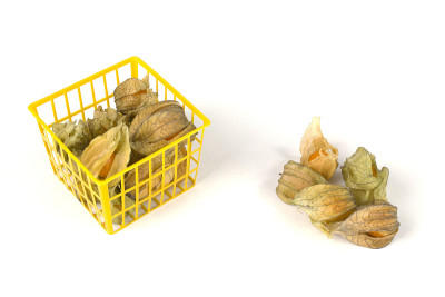 酸浆水果和塑料篮上白色