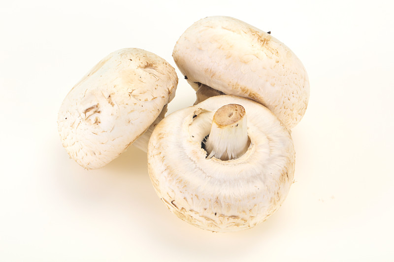 生蘑菇堆煮
