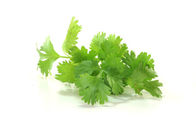 香菜
