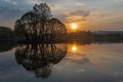 察里奇诺文化娱乐公园。美丽的倒影在水面上的树木和夕阳。2019年4月，俄罗斯莫斯科