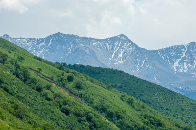 山峦在春天，