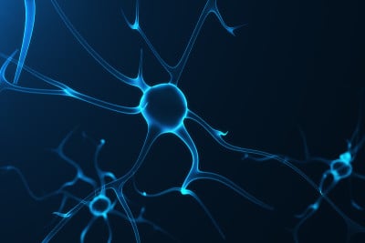 带有发光连接节的神经元细胞的概念性图解。突触和神经元细胞发送化学电信号。用电脉冲连接神经元的神经元，