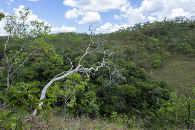 veadeiros的Chapada dos veadeiros