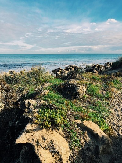 海岸