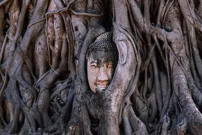 背景:仿古佛像石头像位于泰国大城府大马哈寺菩提树根寺。泰国游客祈祷好运，禅宗和平和神圣的冥想放松。