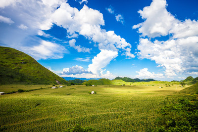 肺van山