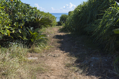通往福卡巴卡海滩/福卡巴库-无害虫之路(冲绳岛的Hatoma岛/Hatoma-jima)