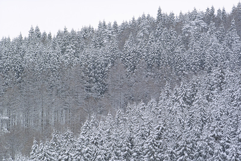 雪山