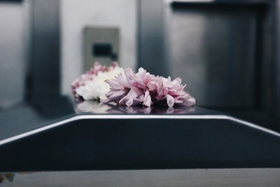花的悲伤