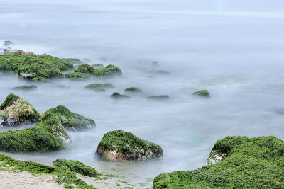 海景与绿色的岩石