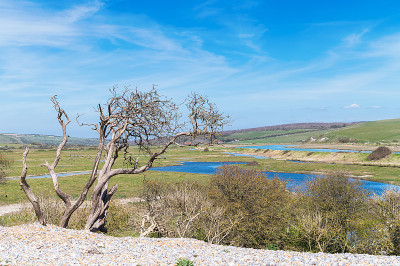 英国西福德的Cuckmere Haven