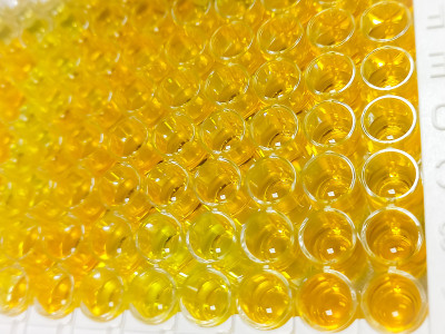 酶联免疫吸附试验(ELISA)板