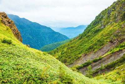 山