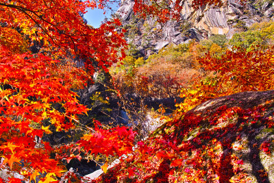 从Shosenkyo山谷看到的风景