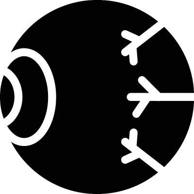 眼睛